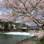 桜のおススメ観光スポット～「水と桜」編～